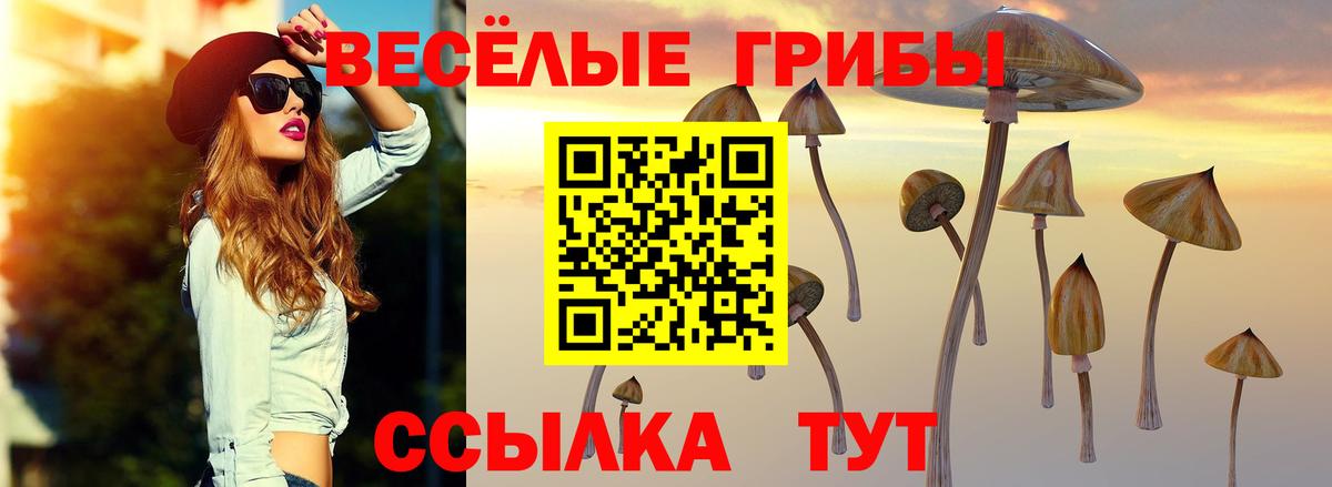 Псилоцибиновые грибы Psilocybe Лабытнанги